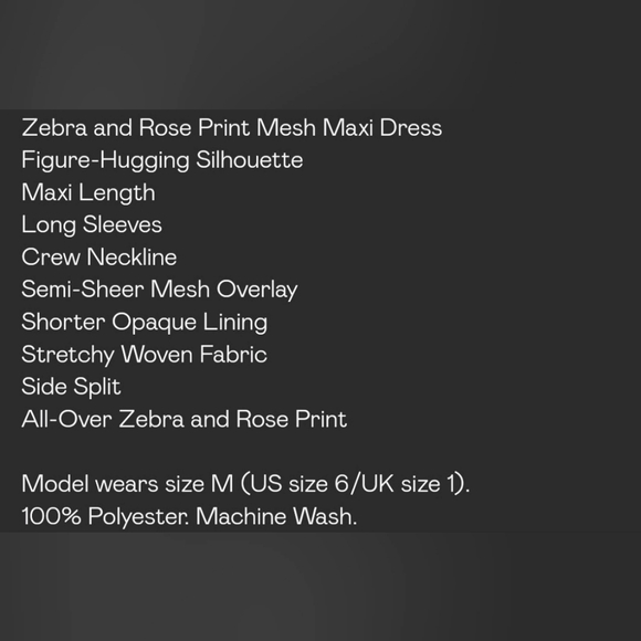 MeSh MaXi DreSs 🌹 - Picture 4 of 4